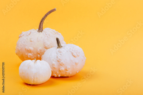 Halloweeen theme with a pumpkins on a yellow background