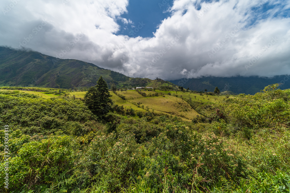Mashpi Ecological Reserve, Ecuador, Highlands, Cloud Forest