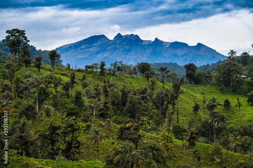Mashpi Ecological Reserve, Ecuador, Highlands, Cloud Forest photo