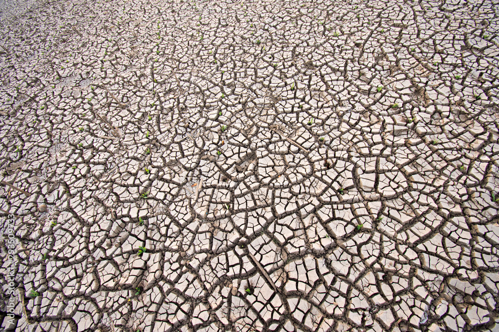 Cracks in ground during dry season drought Cracks in ground during dry season drought