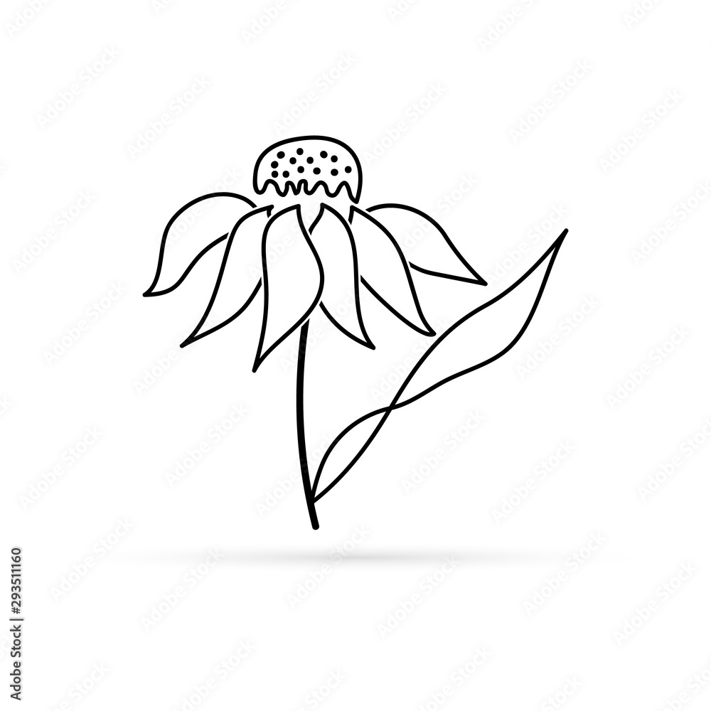 linear doodle flower with leaf, line art, hand drawing flower icon, vector illustration