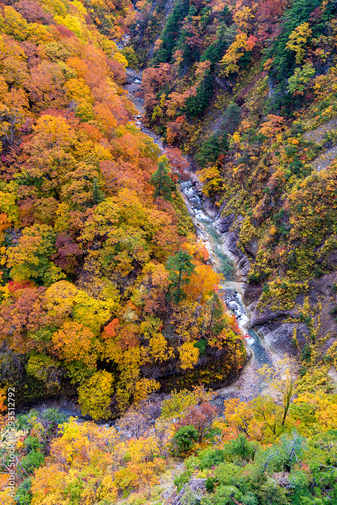 Aerial view of Autumn Fall River Landscape Aerial view of Autumn Fall River Landscape