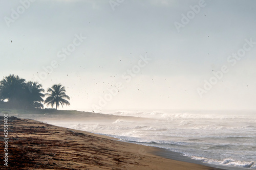 Liberian beach