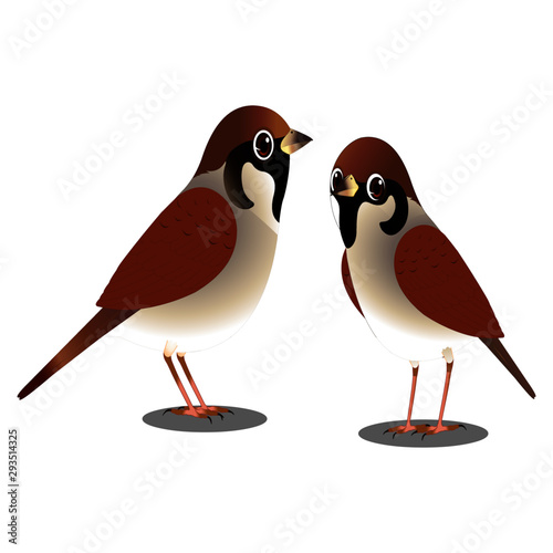 Sparrows Two Birds - Vector Image