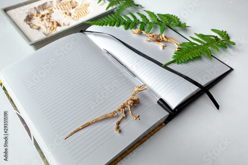 Archaeological excavations. Archiologist notebook. Scientific diary. Dinosaur skeleton and fern leaves on a yellow background