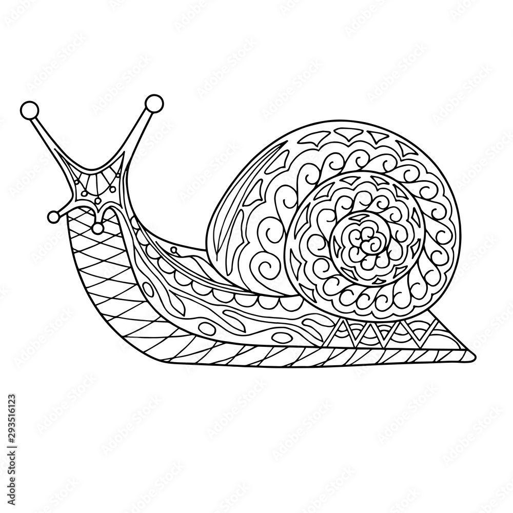 Snail coloring page contour vector illustration for adults and children ...