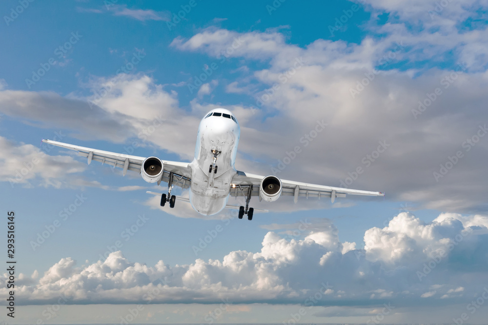 Obraz premium Passenger plane flies on a background of clouds.