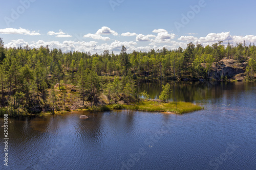 forest lake with rocks