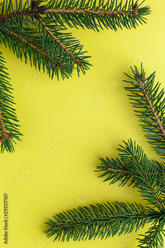 Christmas tree branches on a yellow background. Photo for New Year postcard or web banner.