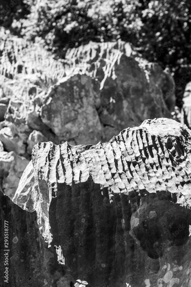 Gulf of Trieste. High cliffs Between boats, karst rocks and ancient castles. Black and white. Duino. Italy