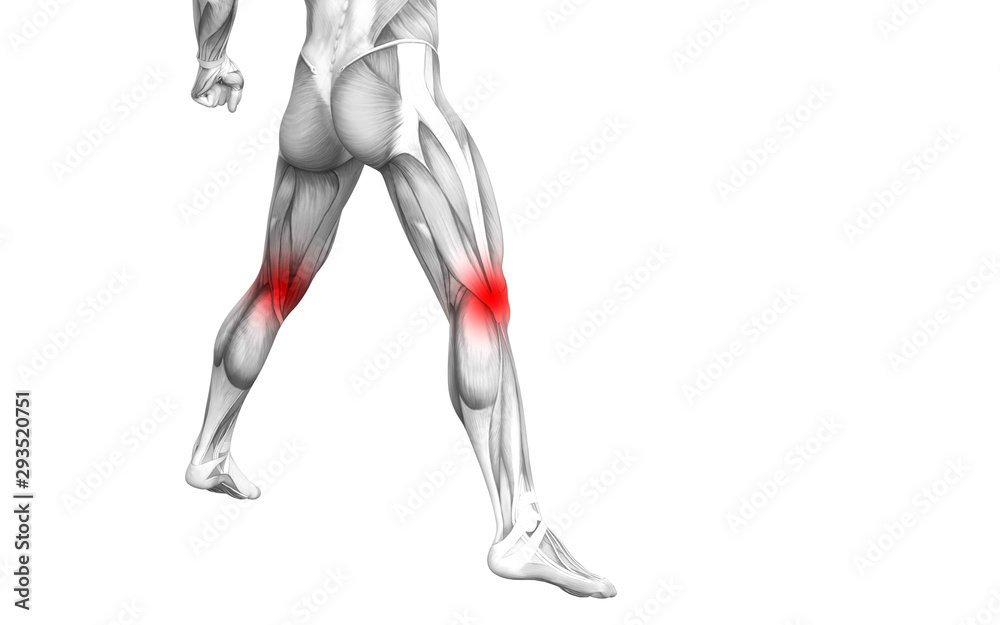 Conceptual knee human anatomy with red hot spot inflammation or articular joint pain for leg health care therapy or sport muscle concepts. 3D illustration man arthritis or bone osteoporosis disease