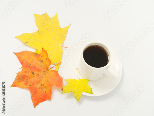 yellow autumn leaves and a cup of coffee on a white background