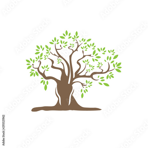 Vector illustration of tree with falling leaves