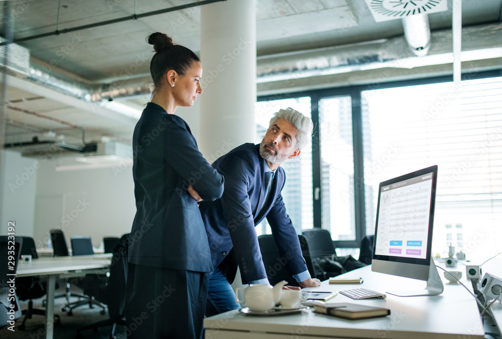 Two businesspeople with computer standing in an office at desk, working. Two businesspeople with computer standing in an office at desk, working.