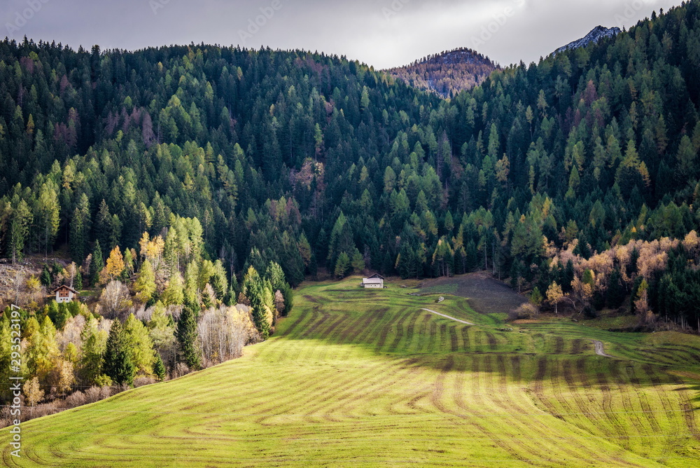 Obraz premium Beautiful autumn European landscapes. House in the woods. A small house in a forest clearing. Field of Italy.