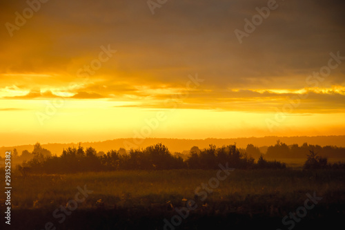 Morning summer foggy dawn in the field. Summer landscape. The sun is waking up. The sky and the sun. Golden sky. The lights of a sun. Golden dawn.