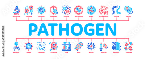 Pathogen Minimal Infographic Web Banner Vector. Pathogen Bacteria Microorganism, Microbes And Germs Linear Pictograms. Analysis In Flask, Microscope And Injection Contour Illustrations