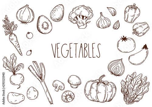 野菜の手描きイラスト