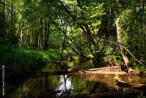 Fototapeta Naklejka Na Ścianę i Meble -  Calm river and green nature. Wallpaper scenery