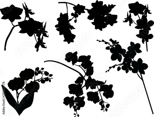 set of six black orchid branches silhouettes