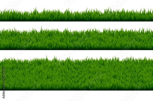 Set of grass isolated on white background.