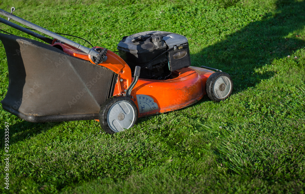 Fototapeta premium Close up worker mows grass on a lawn with a lawn mower in a garden.