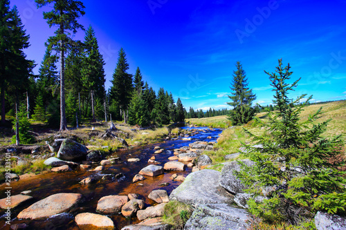 Fototapeta Naklejka Na Ścianę i Meble -  beauty and scenic mountain river valley landscape - jizera or izera mountain an attractive place for hiking, cycling and winter sports