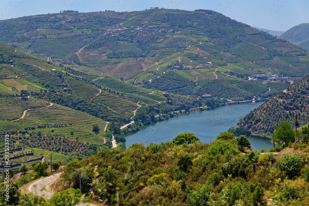Weinberge am Douro, Nähe Pinhao, Portugal