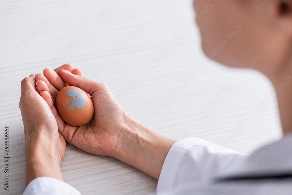 selective focus of doctor holding egg with baby silhouette near table
