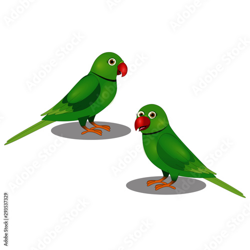Two Beautiful Parrots - Vector Image © media