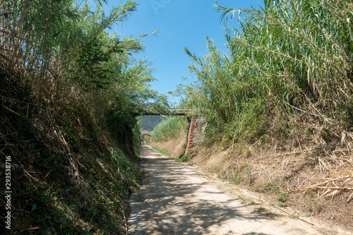 The green way of the carrilet path of Olot photo