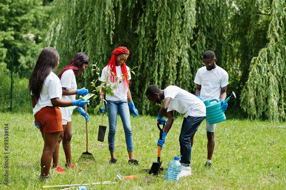 Group of happy african volunteers planting tree in park. Africa volunteering, charity, people and ecology concept. Group of happy african volunteers planting tree in park. Africa volunteering, charity, people and ecology concept.