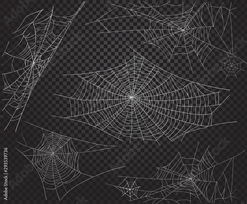Halloween net ans spiders silhouettes