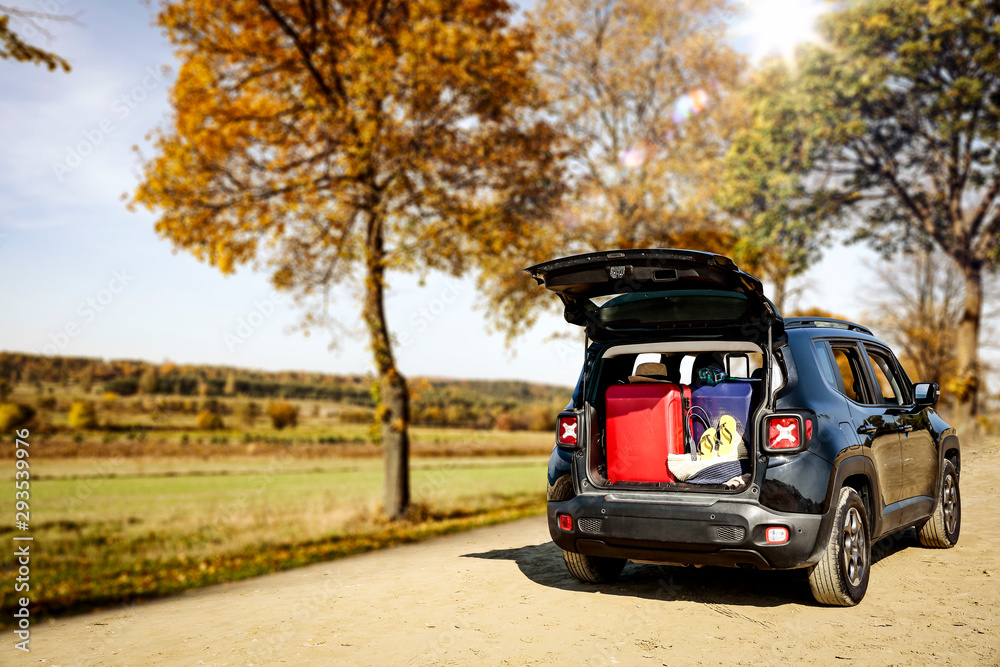 Autumn car in forest and free space for your decoration 