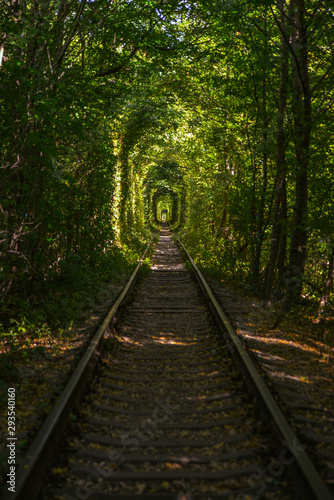 Railway in the forest tonel of love Ukraine