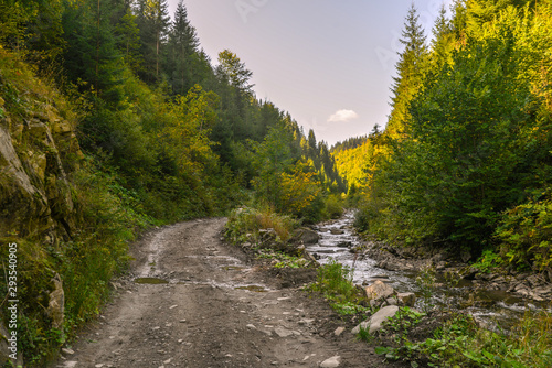Mountain road in the forest by the river