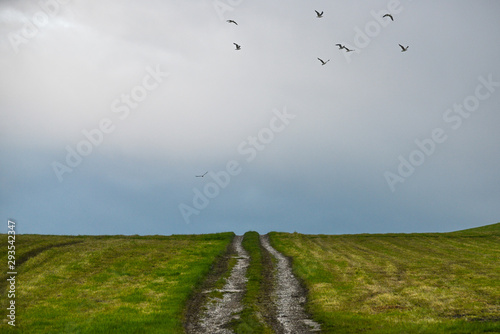 Birds flying at the end of a track