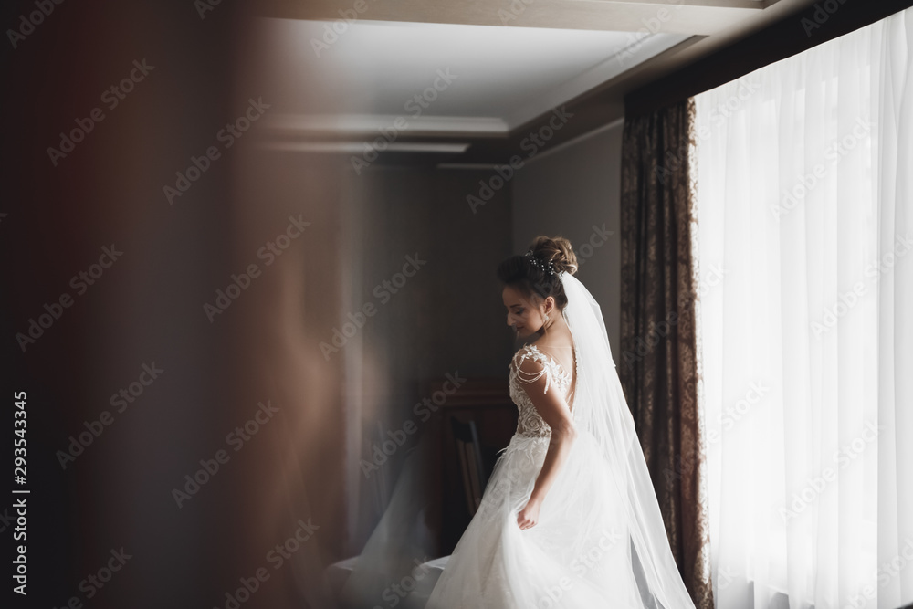 Gorgeous bride in robe posing and preparing for the wedding ceremony face in a room