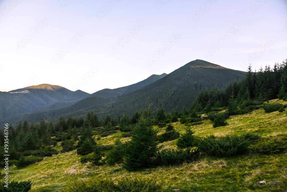 Fototapeta premium landscape in the mountains