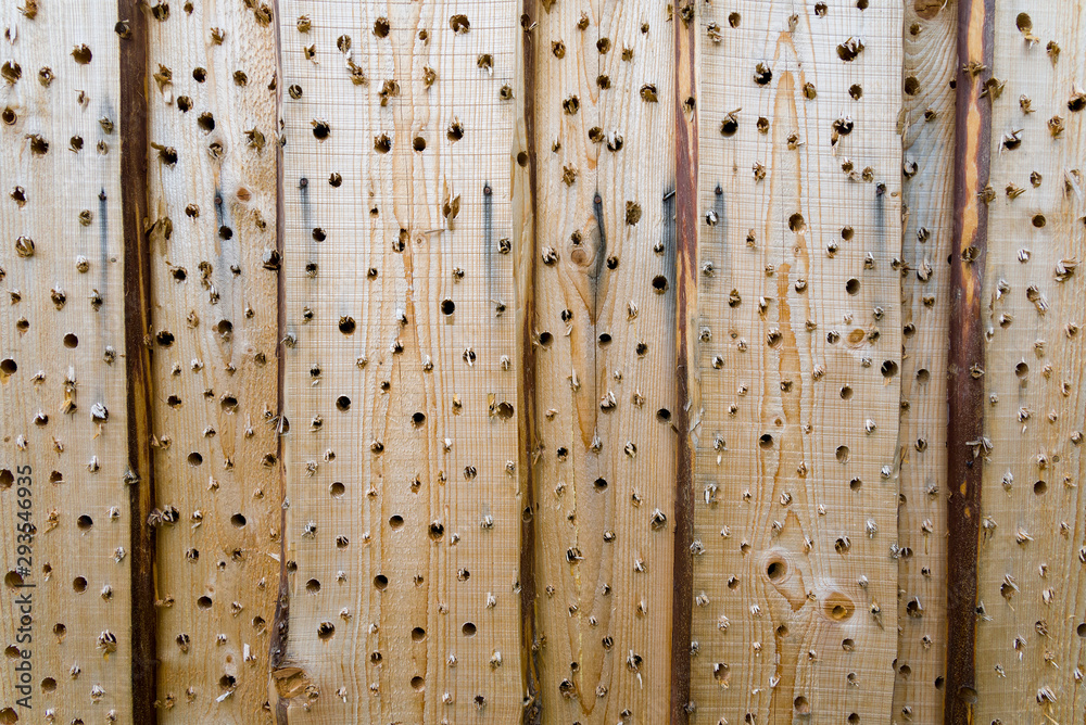 Holes in wood Board, wood Board background. Stock Photo | Adobe Stock