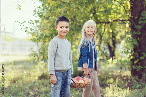 Children with Apple in the Apple Orchard. Child Eating Organic Apple in the Orchard. Harvest Concept. Garden  Toddler eating fruits at fall harvest. Apple picking.