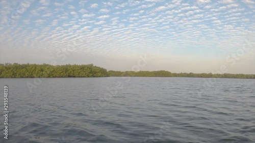 Dolly shot of mangrove forest on Saloum river, UNESCO heritage site in Senegal photo