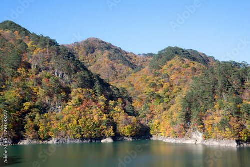 ダム湖の紅葉