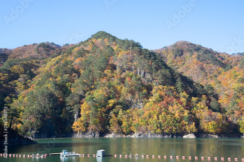 ダム湖の紅葉