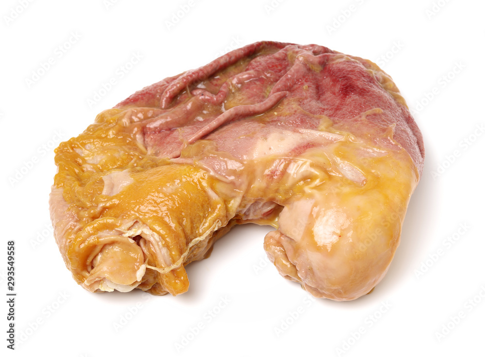 pig's organs on white background pig's organs on white background