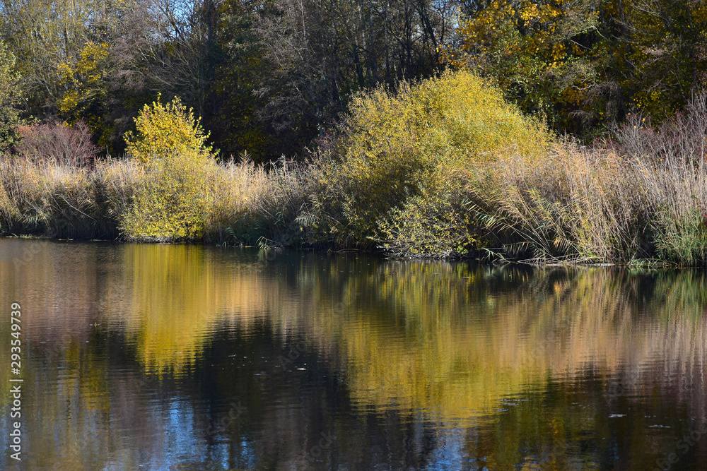 Beautiful autumn landscape with a lake, trees and yellow bushes. Beautiful autumn landscape with a lake, trees and yellow bushes.