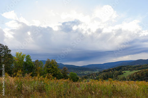 Copy space of grass flower with blue sky and white cloud, mountain background. Shallow depth of field. Nature environment and travel adventure concept.
