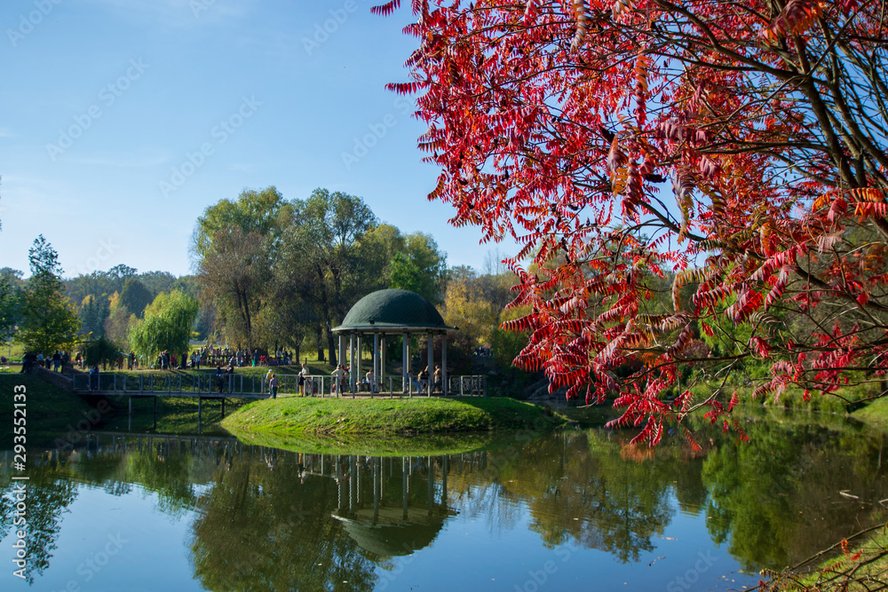 Obraz premium small gazebo in the park with autumn background