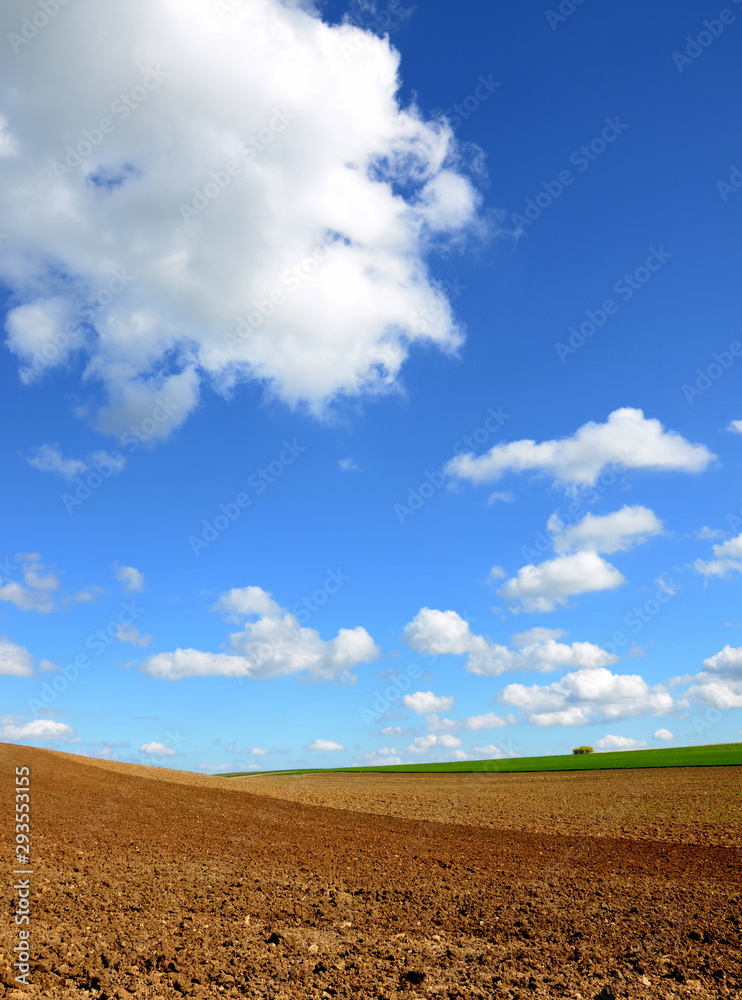 un champ avec un beau ciel bleu et des nuages
