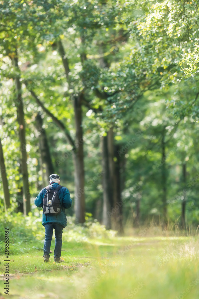 Fototapeta premium Man with backpack walking on sunny forest path in early fall.